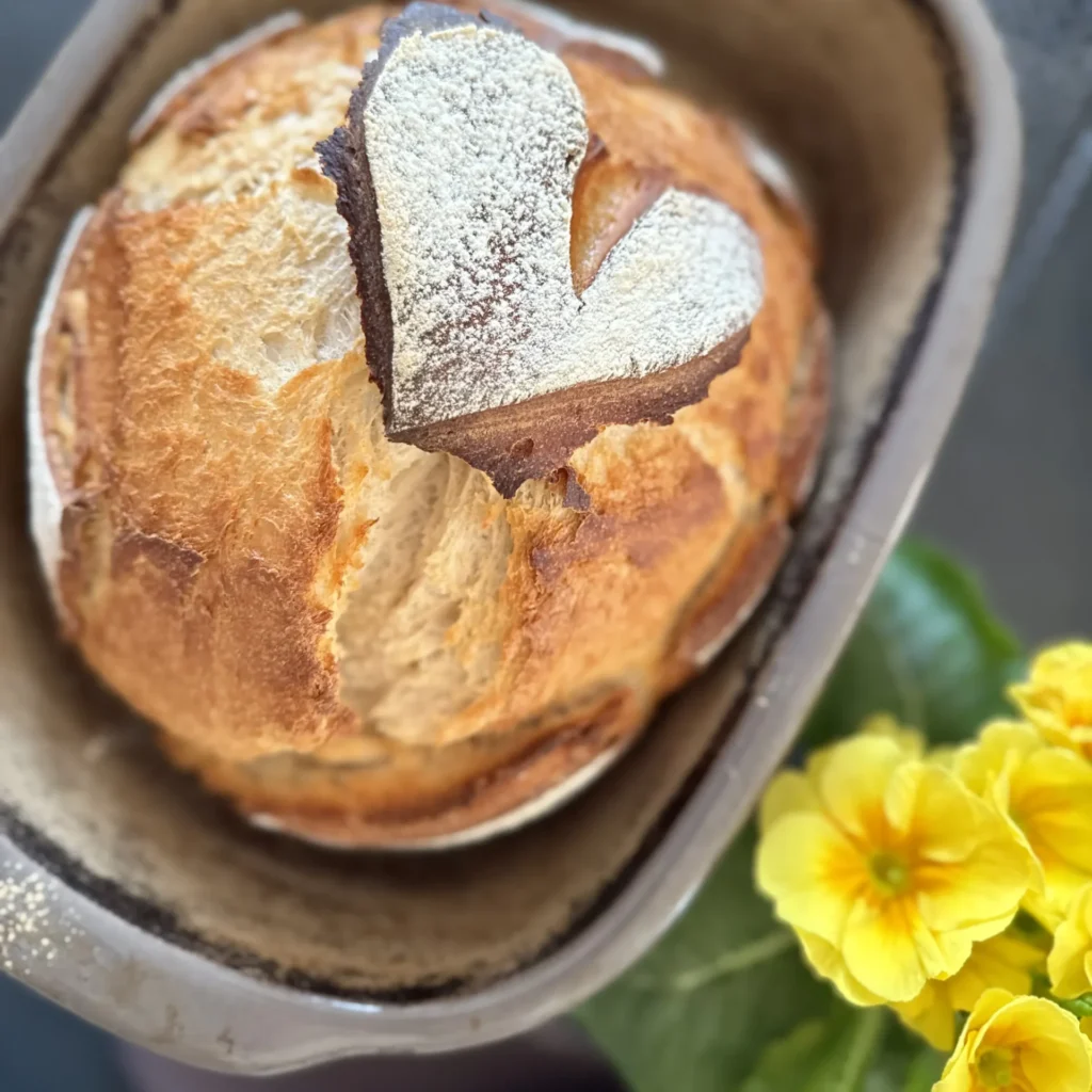 pampered chef ofenmeister brot