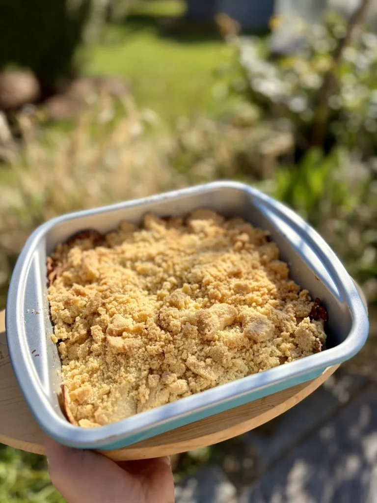 Apple Crumble 1 Apple Crumble in der quadratischen Backform aus dem Deluxe Air Fryer